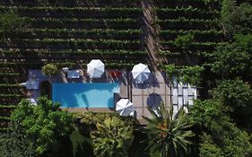 Finca Adalgisa