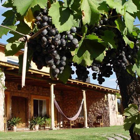 Finca Adalgisa Chacras de Coria Exterior photo