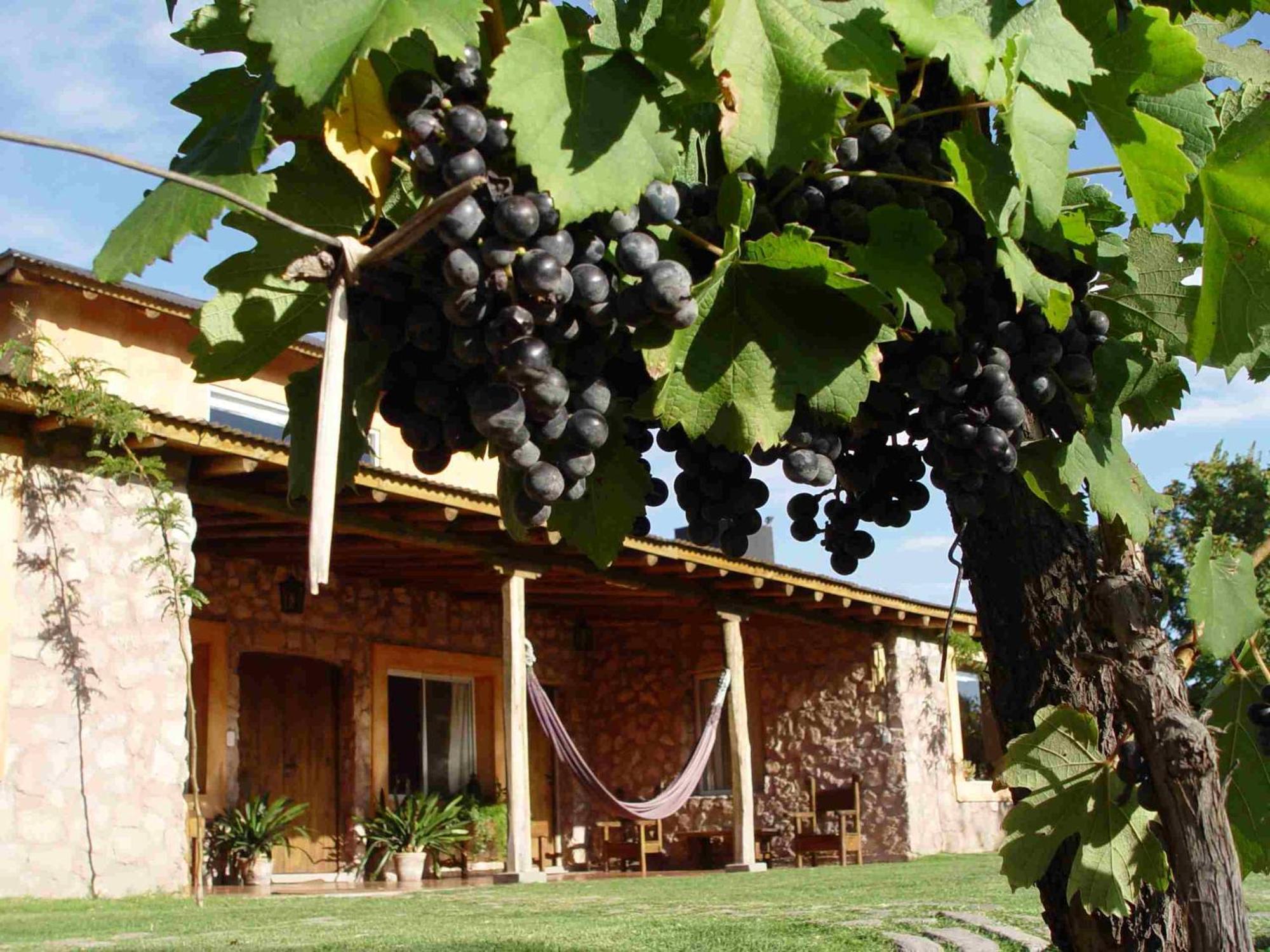 Finca Adalgisa Chacras de Coria Exterior photo